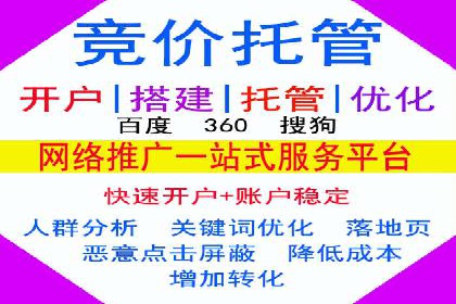 房地产行业SEM推广策略及成果展示